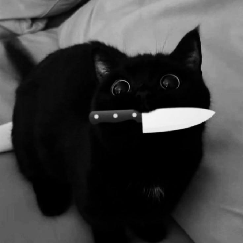 BEBE 